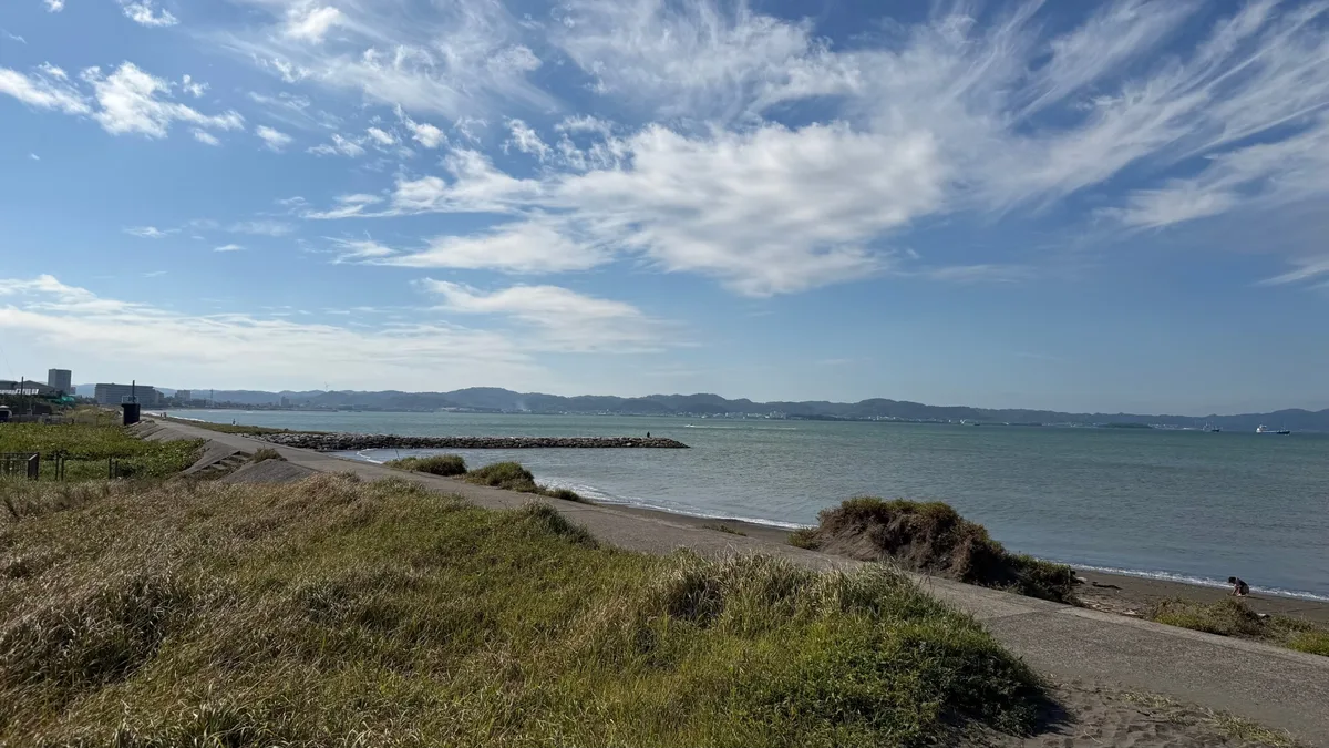 青空の下に広がる館山の海と、海沿いの道