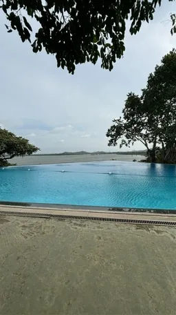 湖へとつながって見えるインフィニティプール