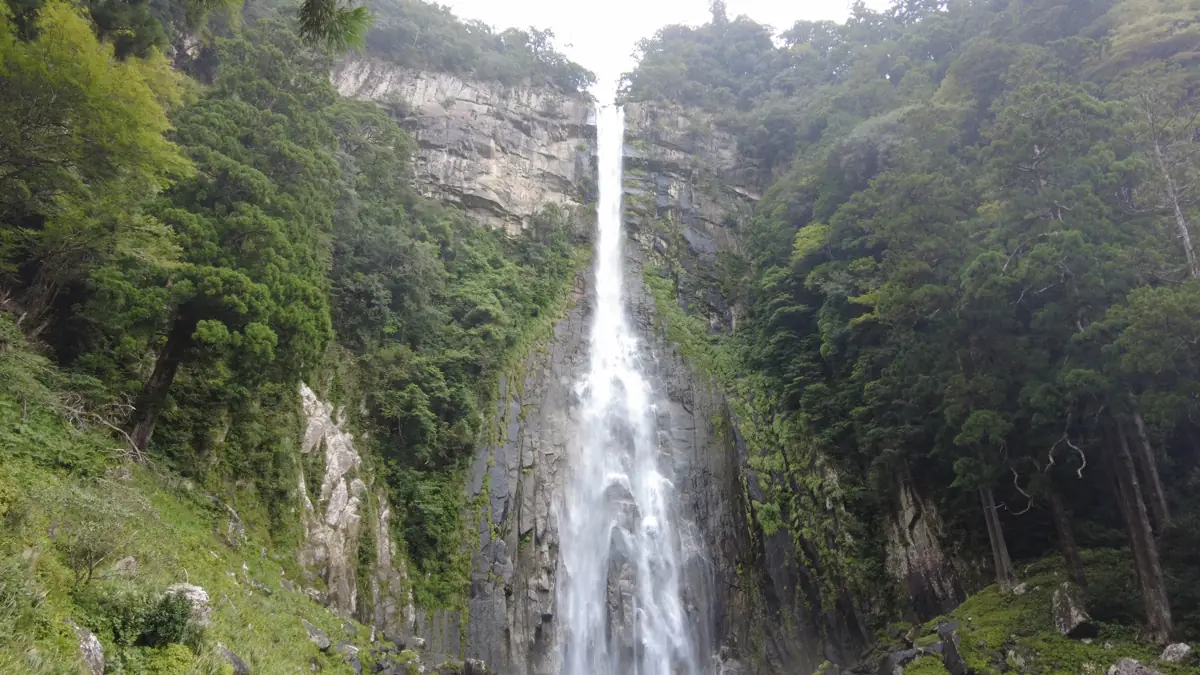 森に囲まれた断崖を流れ落ちる那智の滝